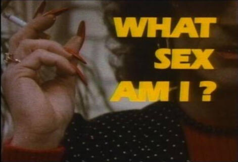 What Sex Am I? (1985)